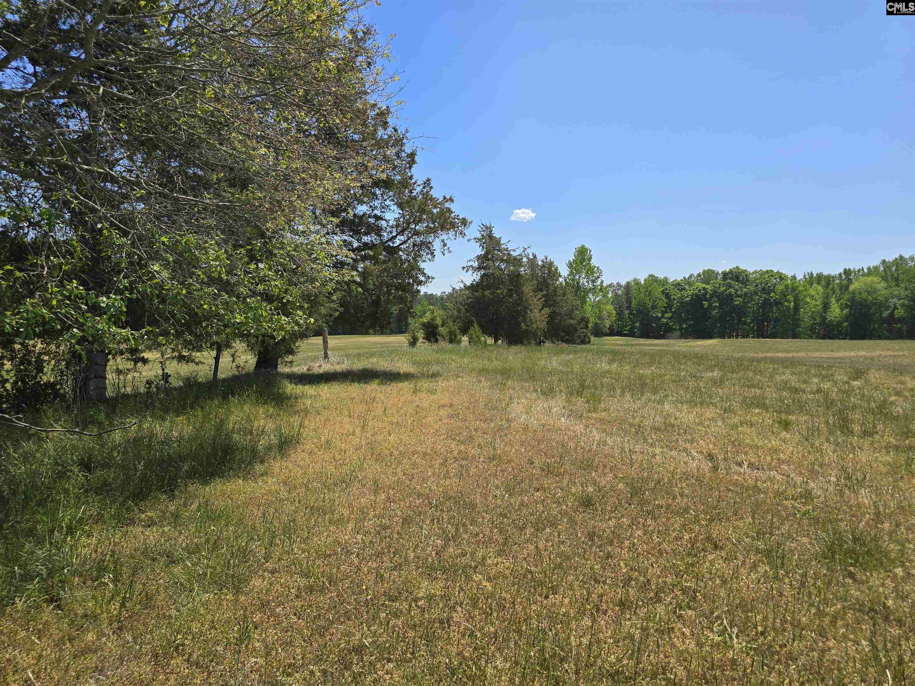 542 Pea Ridge Highway Jonesville, SC 29353 - Photo 17 of 72
