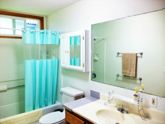 18-3976 Canney Road Mountain View, HI 96771 - Photo 19 of 25 a bathroom with a sink toilet and shower