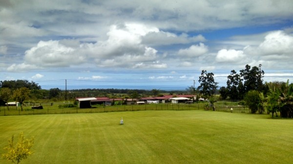 18-3976 Canney Road Mountain View, HI 96771 - Photo 23 of 25 a view of yard and ocean view