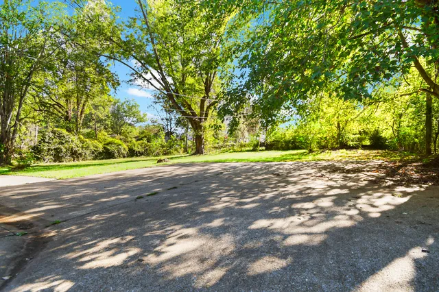 a view of a yard with large trees