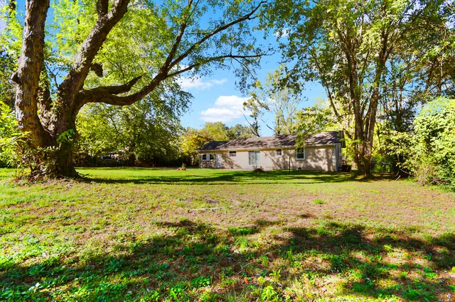 a view of big yard with large trees
