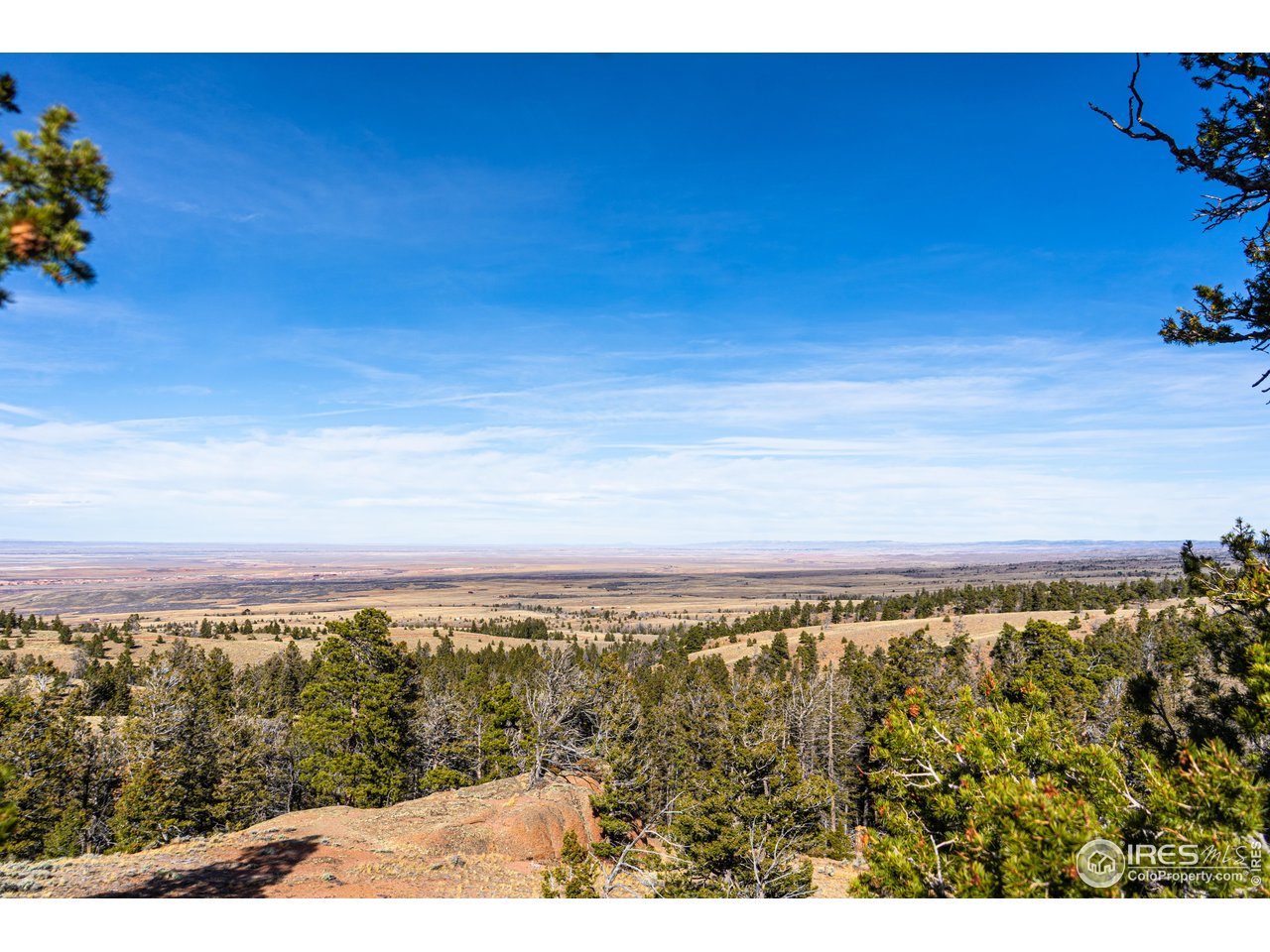 0 Wilderness Ranch Road Livermore, CO 80536 - Photo 3 of 16