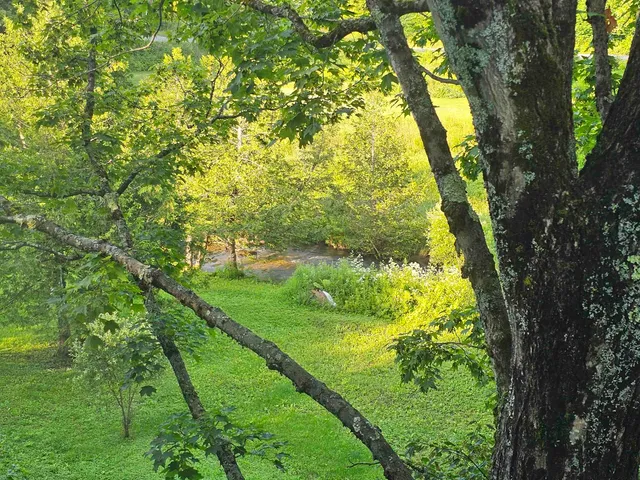 $119,900 | 104 Highway 5A, Burke, VT 05871