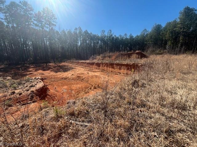 4224 Giles Road Lexington, NC 27295 - Photo 21 of 26 Graded area.