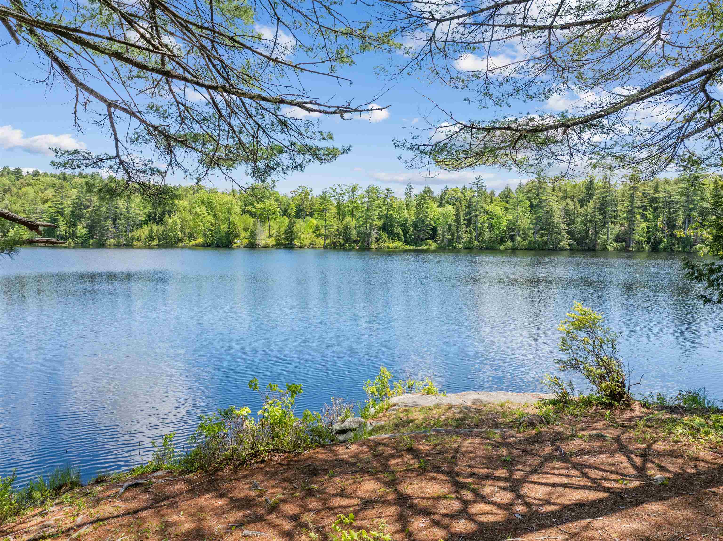 47 Forest Pond Road New Hampton, NH 03256 - Photo 36 of 60