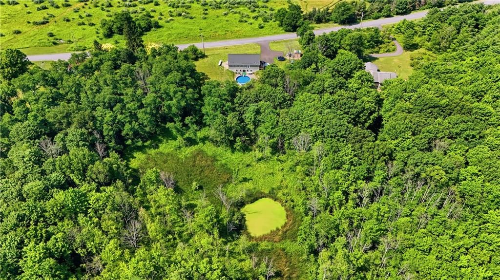 177 Durfee Hill Road Ithaca, NY 14850 - Photo 37 of 42 Gallery Image 37