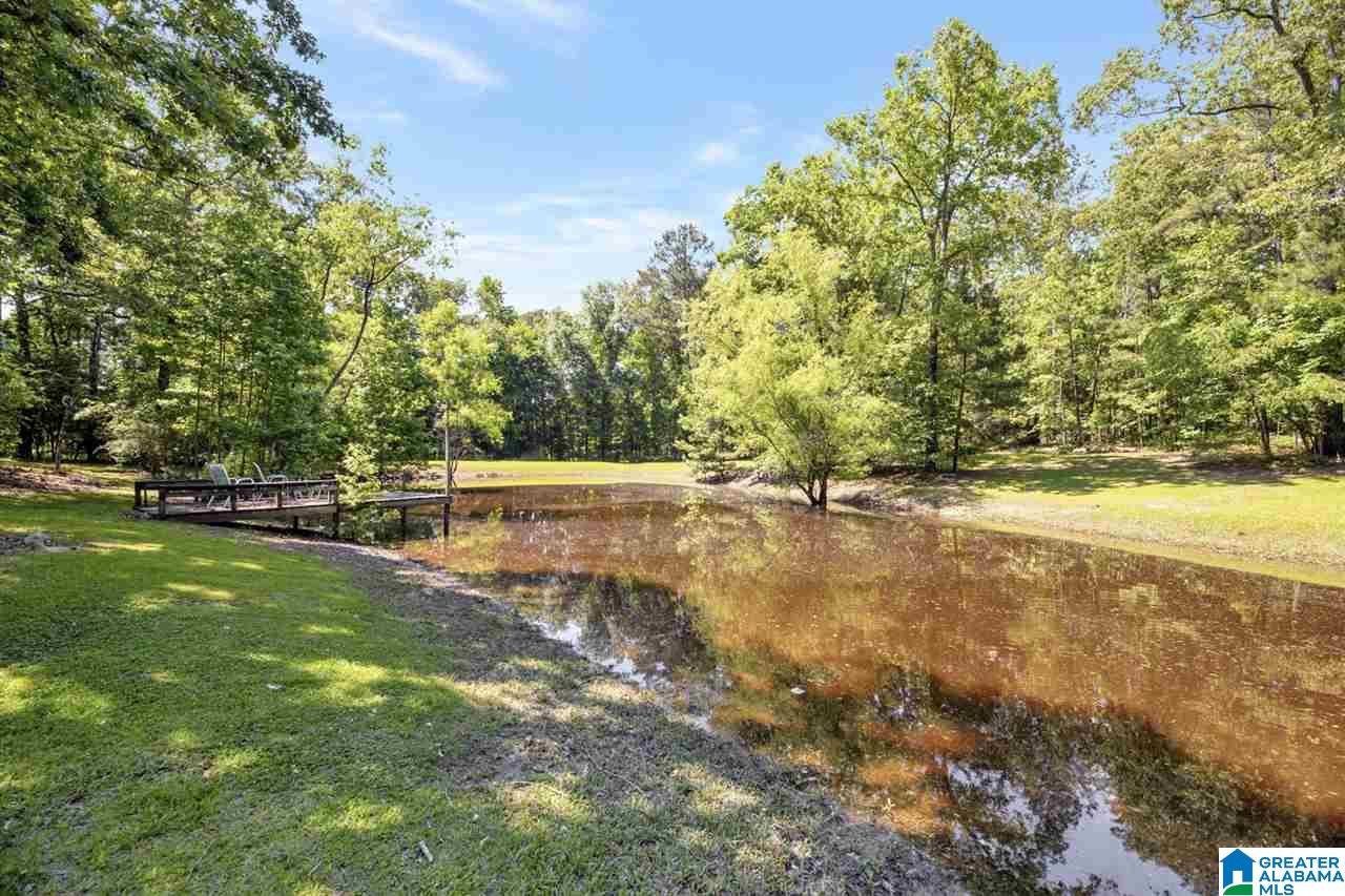 1302 Highway 69 Chelsea, AL 35043 - Photo 39 of 42