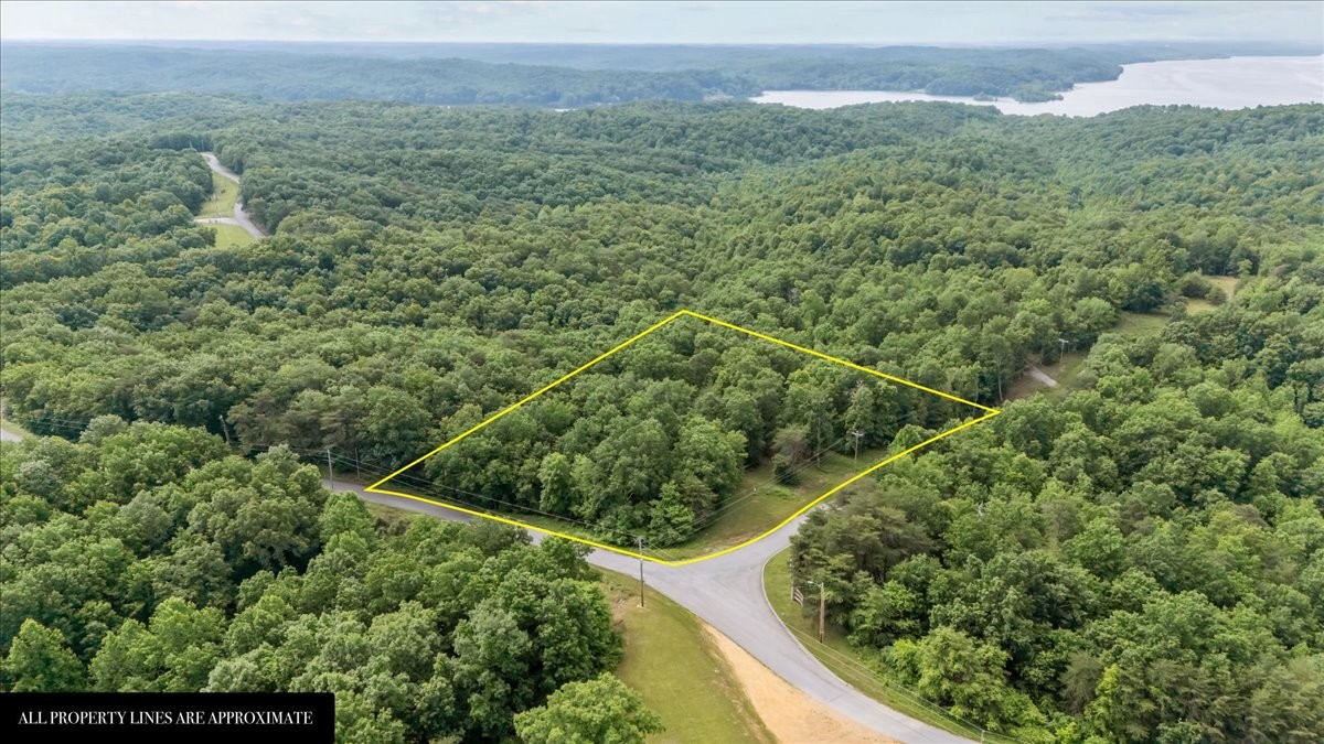 0 Highwater Road Waverly, TN 37185 - Photo 1 of 33 Gallery Image 1
