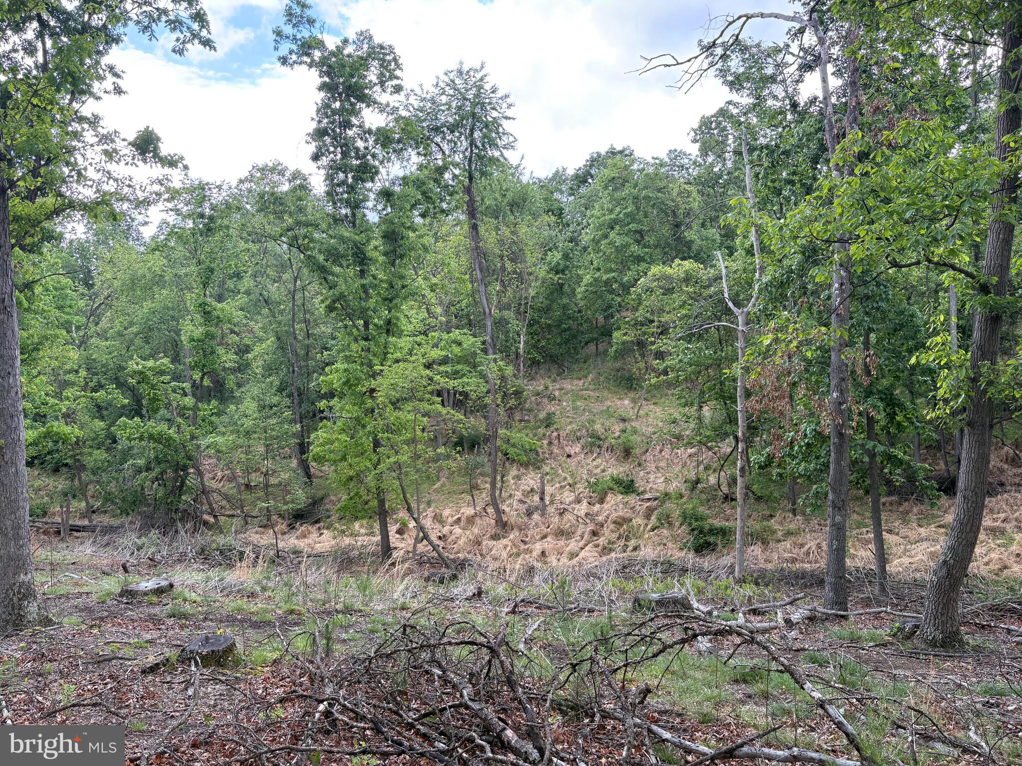 40.15-ac Middle Ridge Road Burlington, WV 26710 - Photo 12 of 47
