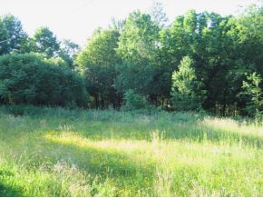 613 Stump Pond Road New Milford, PA 18834 - Photo 11 of 14 Gallery Image 11