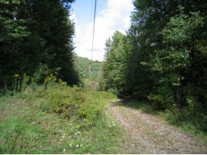 613 Stump Pond Road New Milford, PA 18834 - Photo 12 of 14 Gallery Image 12