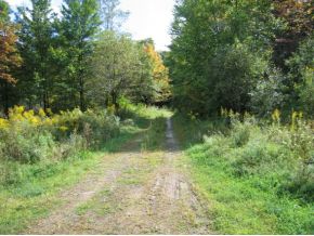 613 Stump Pond Road New Milford, PA 18834 - Photo 13 of 14 Gallery Image 13
