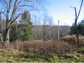 613 Stump Pond Road New Milford, PA 18834 - Photo 10 of 14 Gallery Image 10