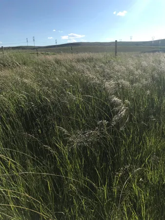 $175,000 | 40 Acres Kemmerer Wy, Kemmerer, WY 83101