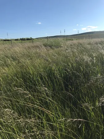 $175,000 | 40 Acres Kemmerer Wy, Kemmerer, WY 83101