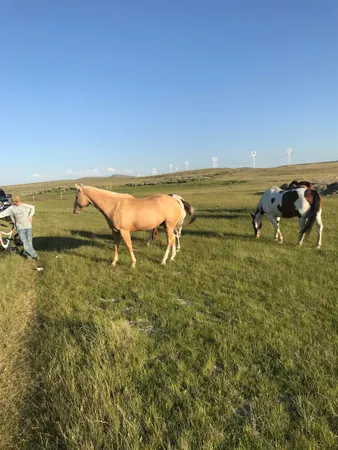 $175,000 | 40 Acres Kemmerer Wy, Kemmerer, WY 83101