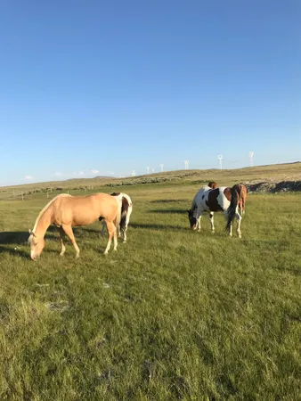 $175,000 | 40 Acres Kemmerer Wy, Kemmerer, WY 83101