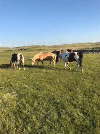 $175,000 | 40 Acres Kemmerer Wy, Kemmerer, WY 83101