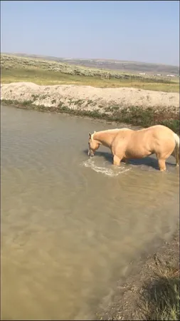 $175,000 | 40 Acres Kemmerer Wy, Kemmerer, WY 83101