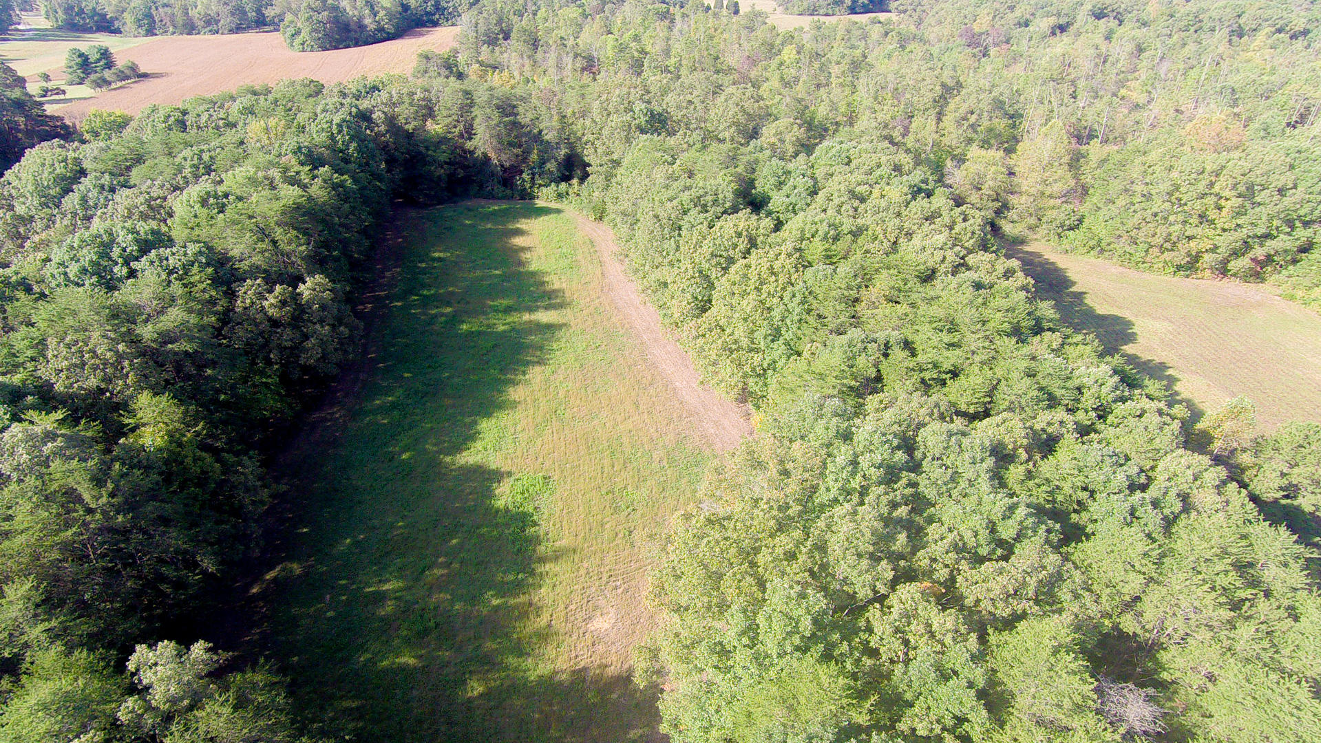 Union Grove Road Friendsville, TN 37737 - Photo 13 of 14 DSC_0005-9