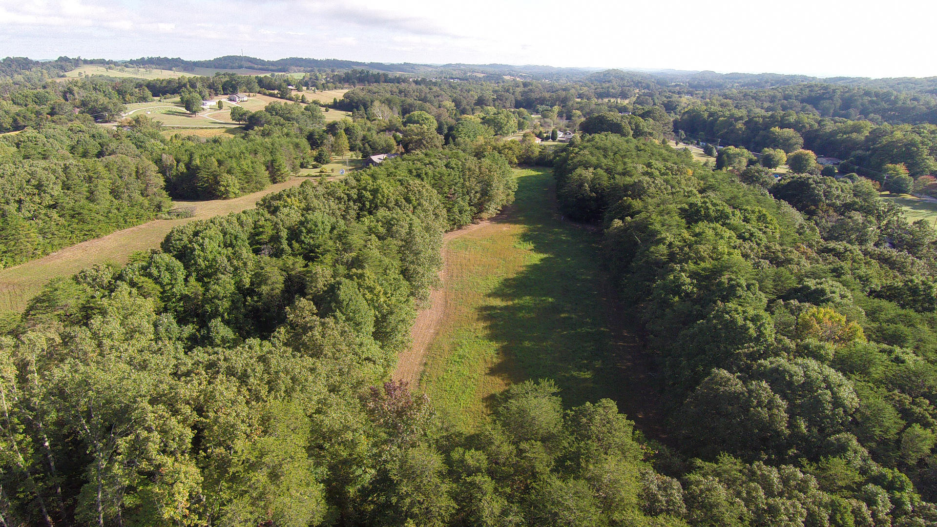 Union Grove Road Friendsville, TN 37737 - Photo 14 of 14 DSC_0005-11