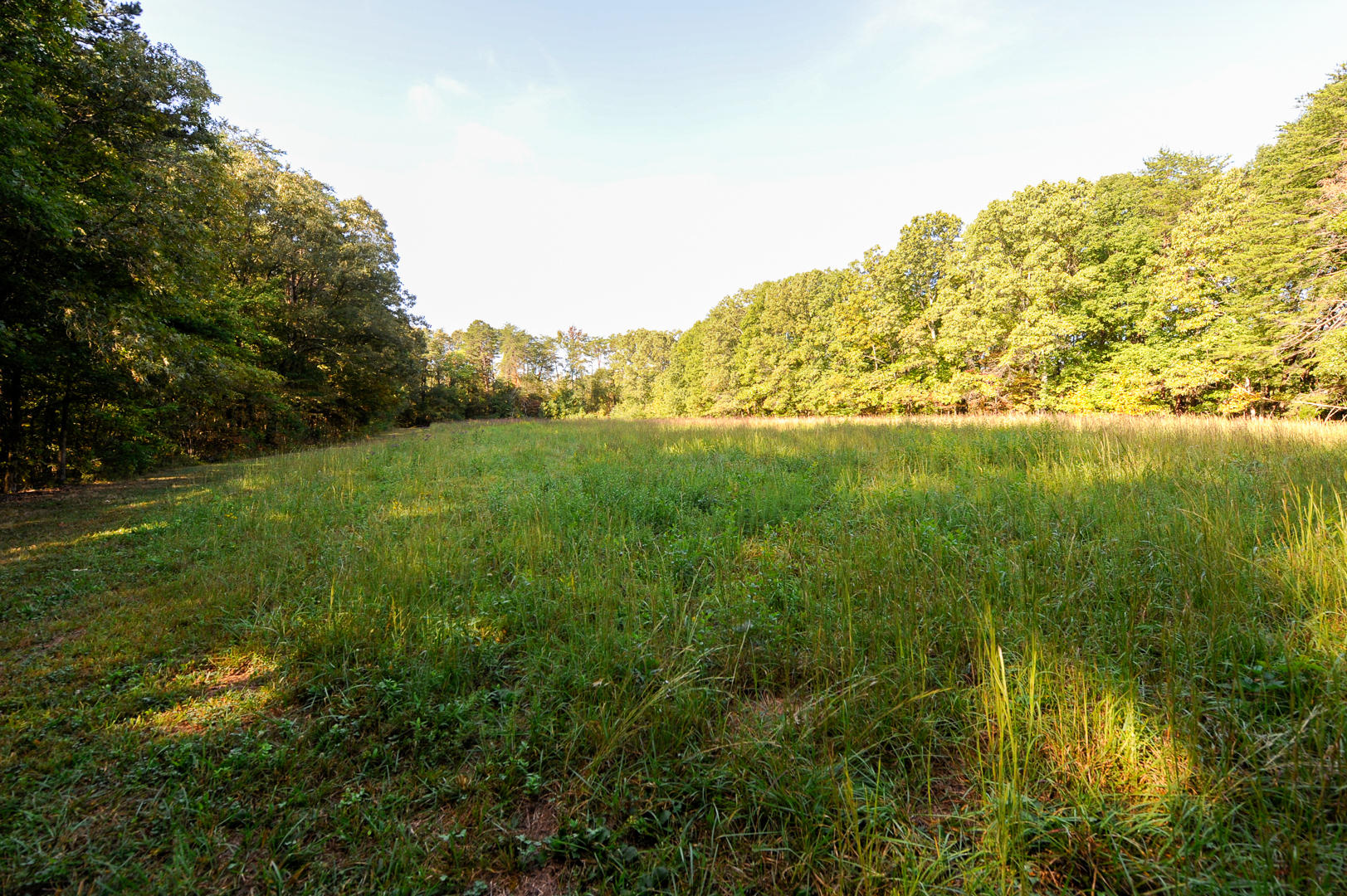 Union Grove Road Friendsville, TN 37737 - Photo 3 of 14 _DSC2234
