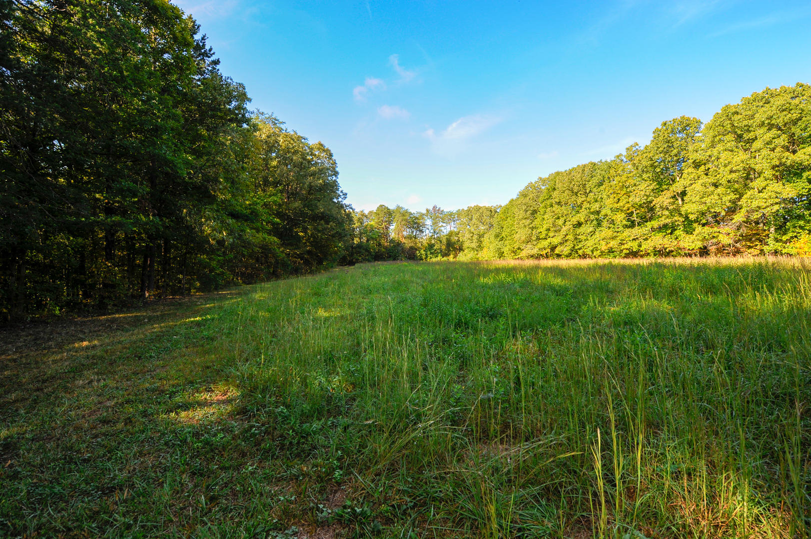 Union Grove Road Friendsville, TN 37737 - Photo 4 of 14 _DSC2236