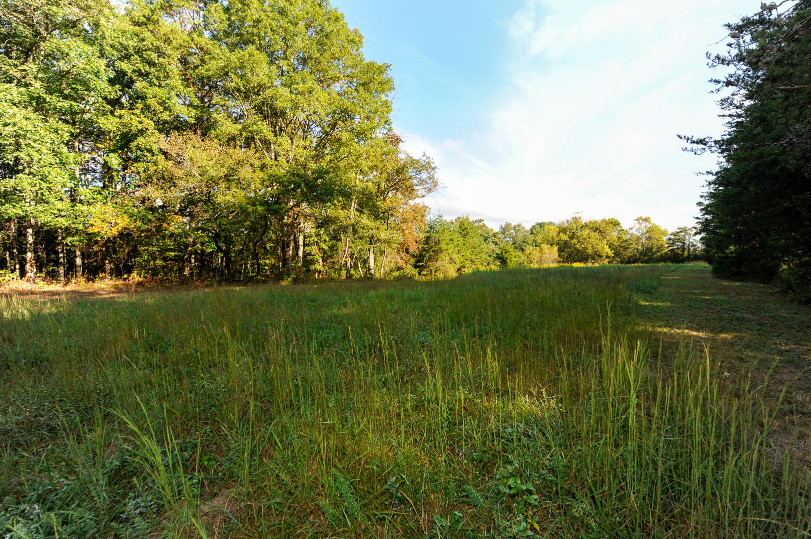 Union Grove Road Friendsville, TN 37737 - Photo 5 of 14 _DSC2238