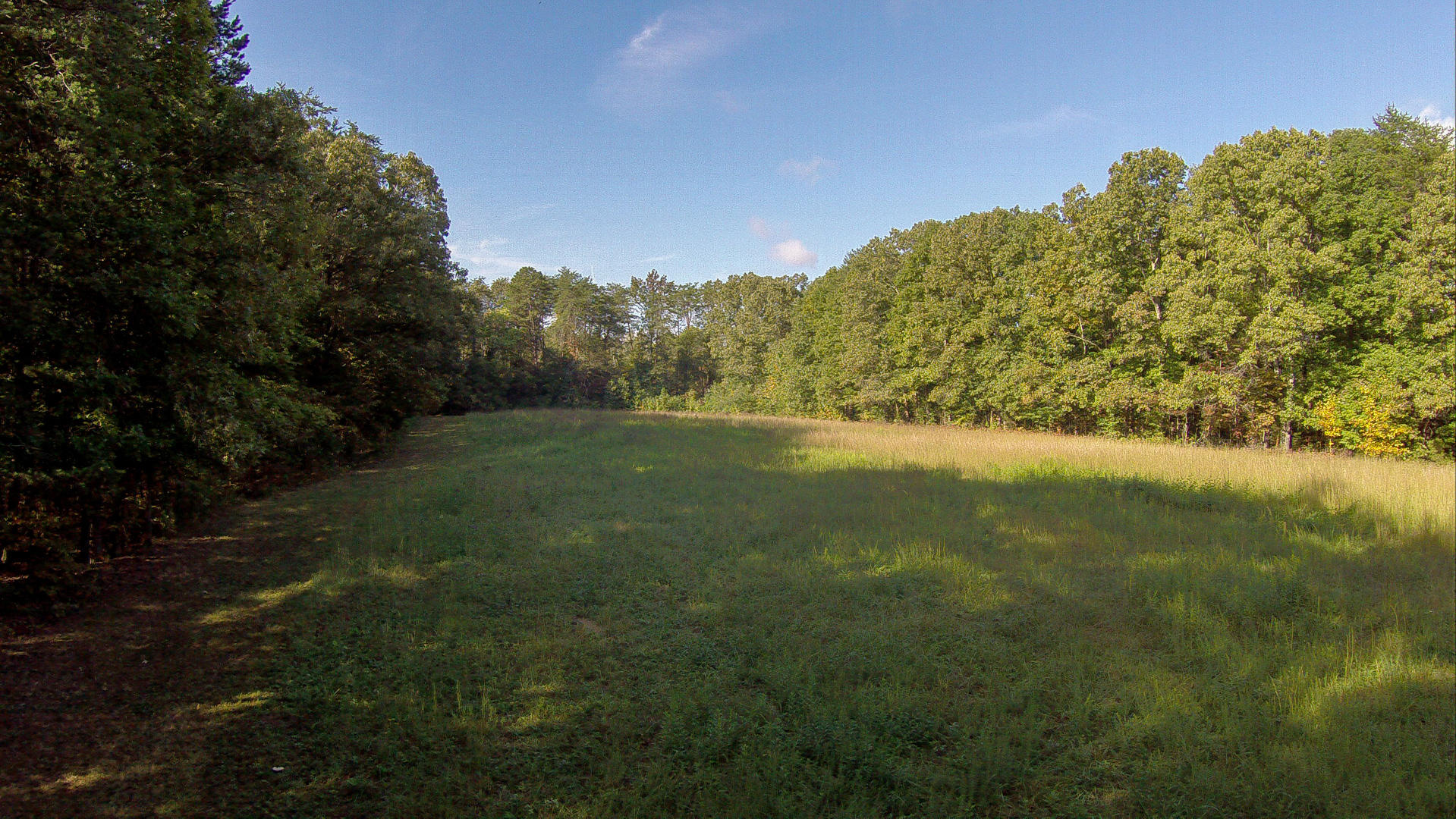 Union Grove Road Friendsville, TN 37737 - Photo 6 of 14 DSC_0005-1