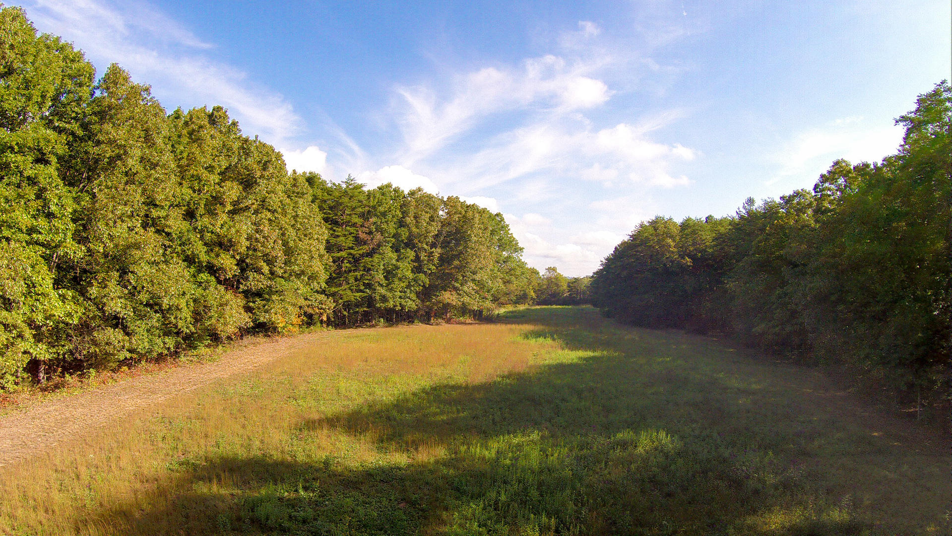 Union Grove Road Friendsville, TN 37737 - Photo 7 of 14 DSC_0005-2