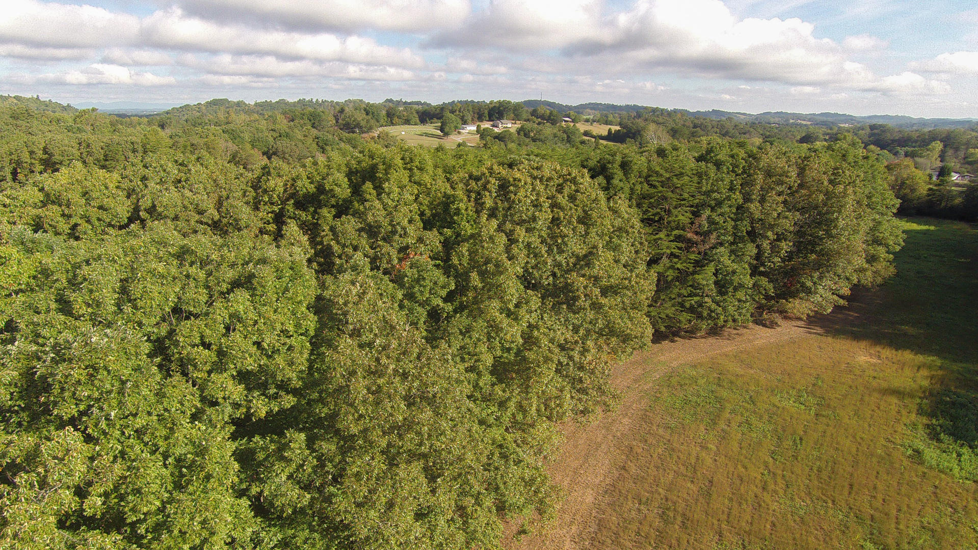 Union Grove Road Friendsville, TN 37737 - Photo 9 of 14 DSC_0005-5