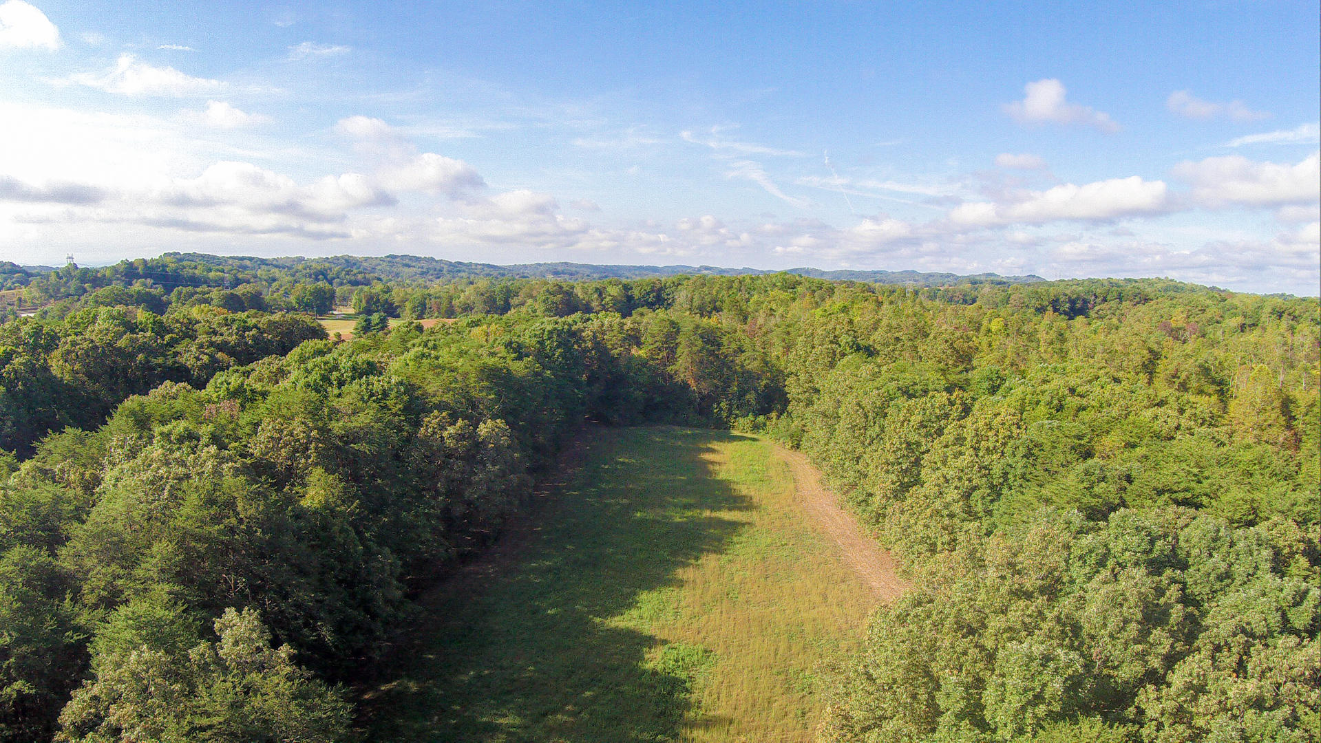 Union Grove Road Friendsville, TN 37737 - Photo 10 of 14 DSC_0005-6