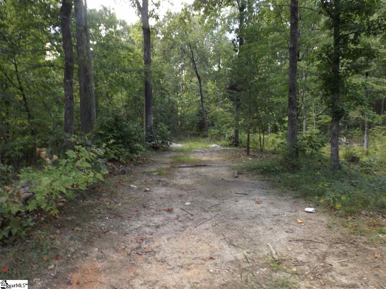 Chauga Valley Road Westminster, SC 29693 - Photo 1 of 11 Gallery Image 1