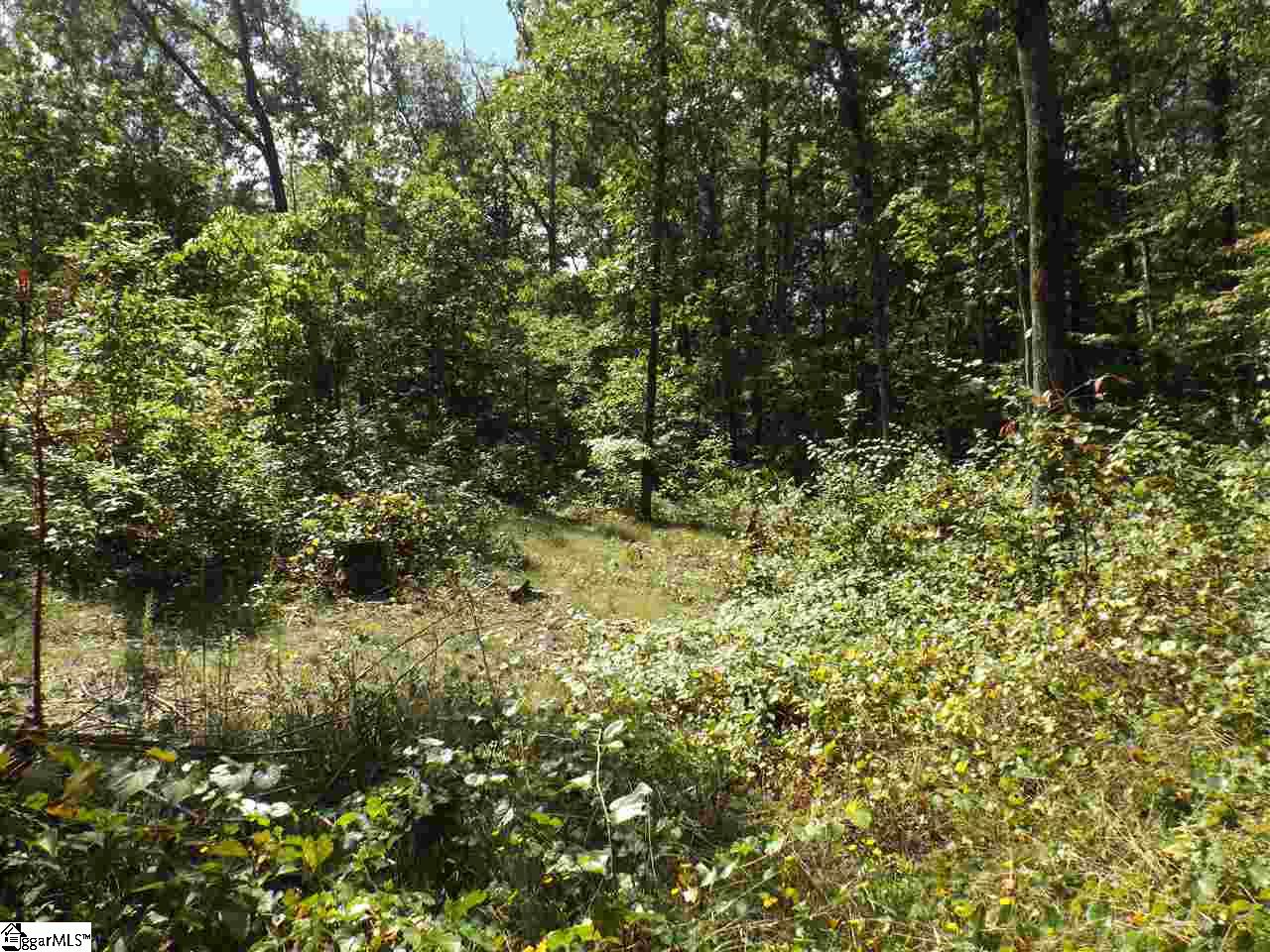 Chauga Valley Road Westminster, SC 29693 - Photo 5 of 11 Gallery Image 5