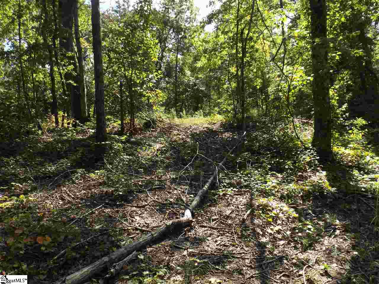 Chauga Valley Road Westminster, SC 29693 - Photo 8 of 11 Gallery Image 8