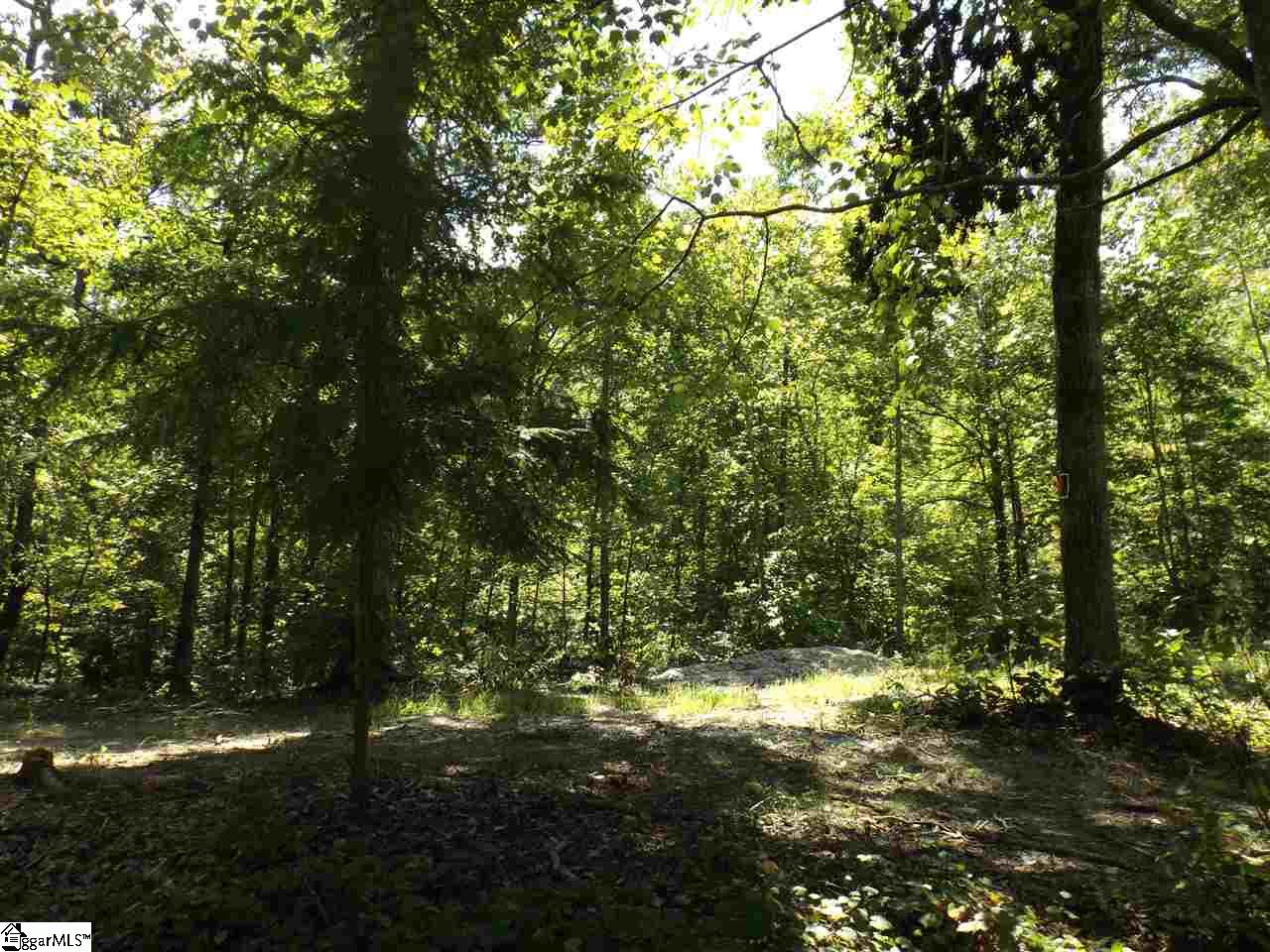 Chauga Valley Road Westminster, SC 29693 - Photo 10 of 11 Gallery Image 10