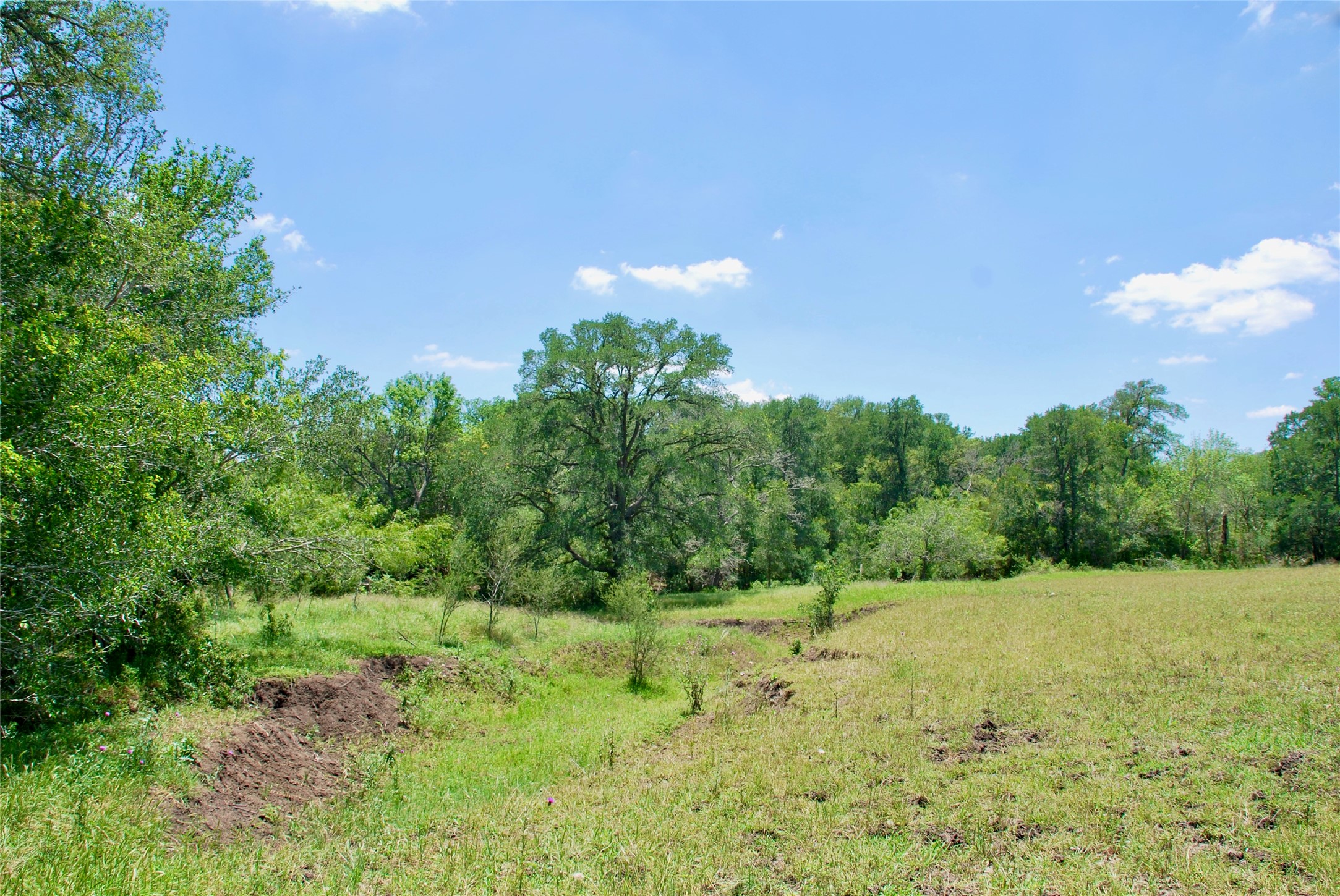 2116 Langdon Road Weimar, TX 78962 - Photo 25 of 43 a view of a grassy area with an trees