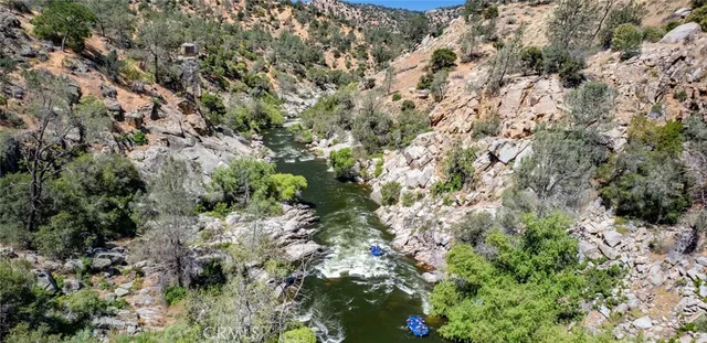 a view of a forest with a tree