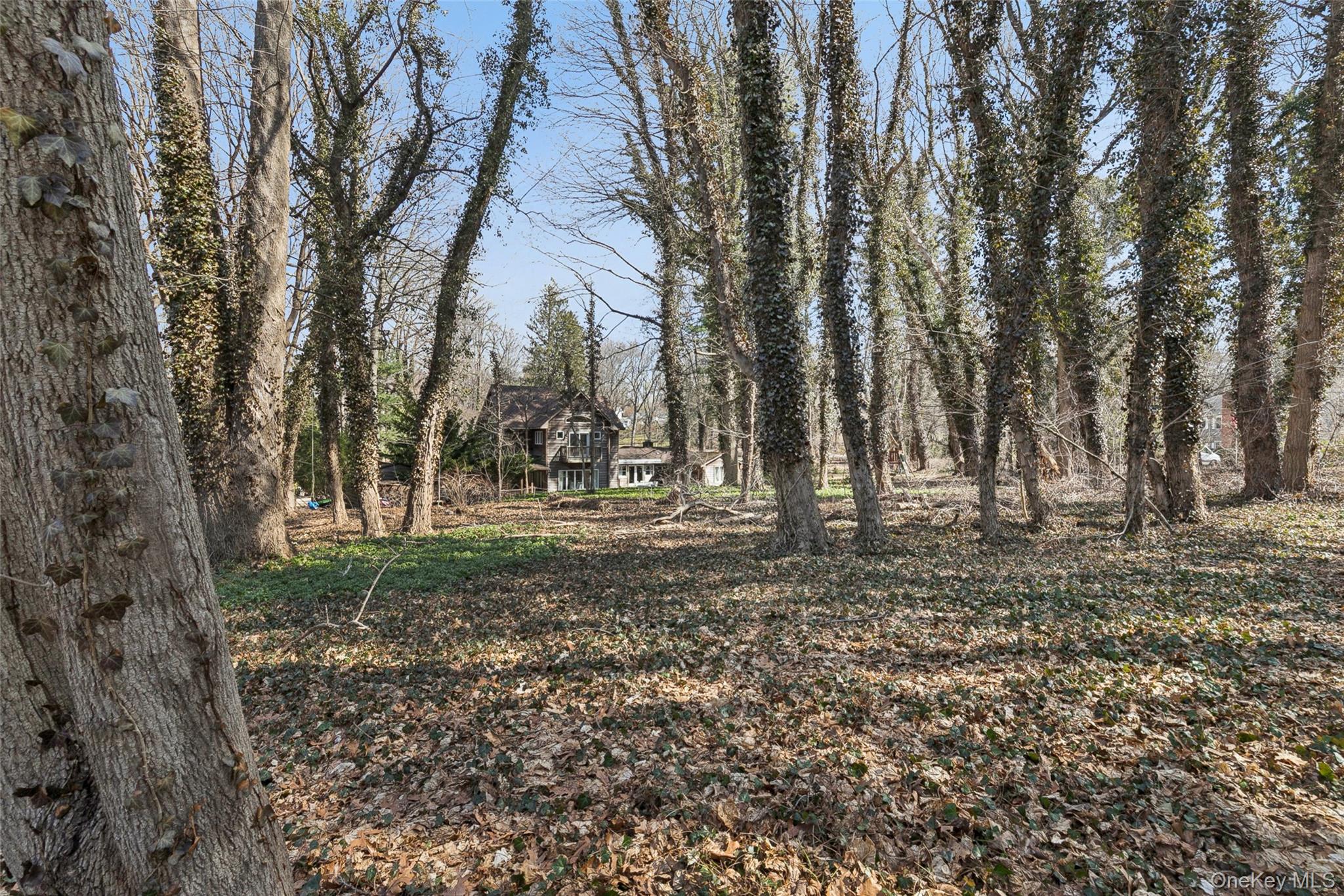 85 Cove Road Oyster Bay, NY 11771 - Photo 41 of 46