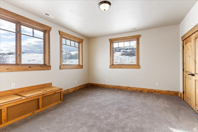 246 Woods Creek Road Morgan, UT 84050 - Photo 51 of 69 Built-in wood bench with storage, wood-trimmed windows with mullions, wood baseboards, wood panel doors with black hardware, and gray carpet