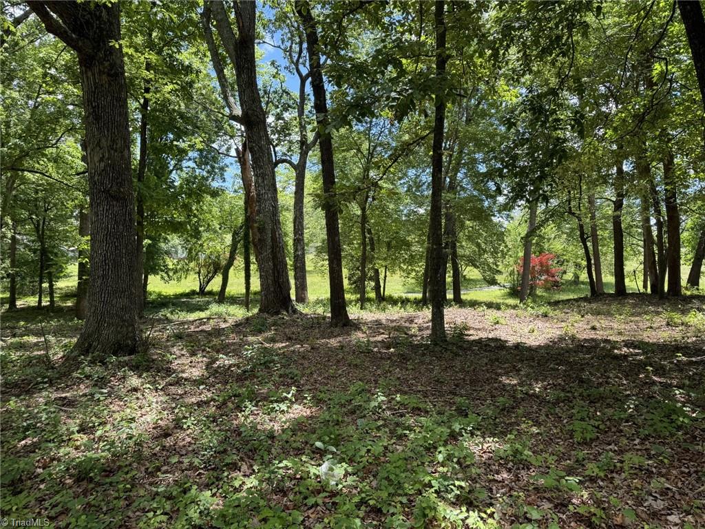 0 West King Street King, NC 27021 - Photo 14 of 40