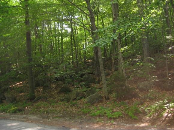 Garnet Hill Road Sunapee, NH 03782 - Photo 1 of 1