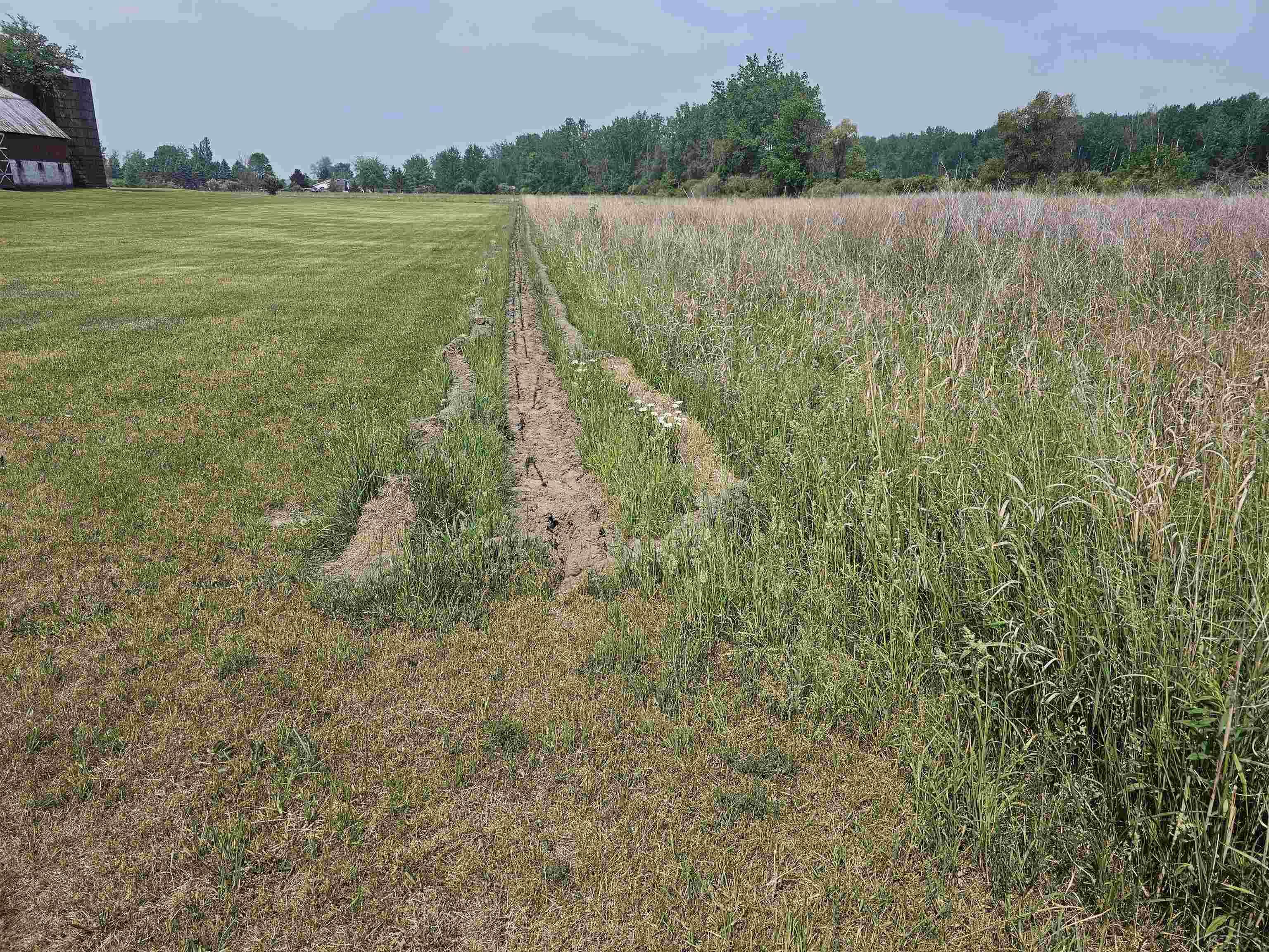 357 East Townline Road Pinconning, MI 48650 - Photo 29 of 36 50111229-28.JPG