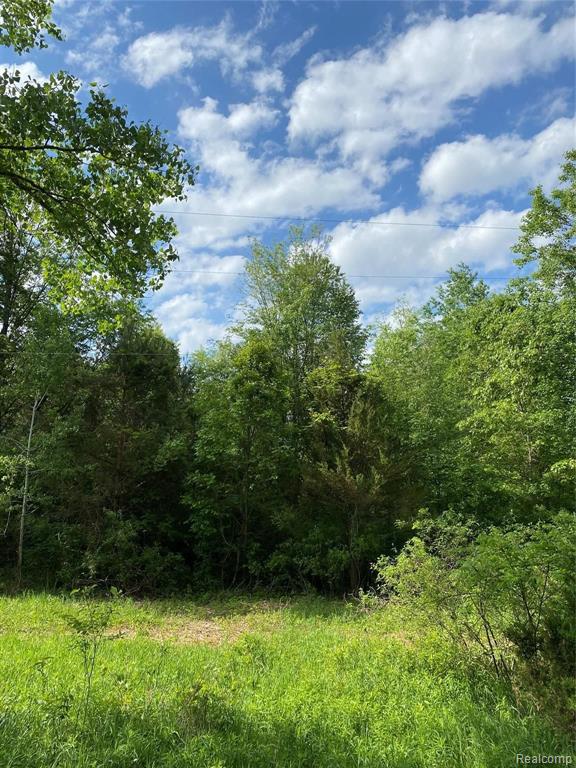 0 Kaiser Road Gregory, MI 48137 - Photo 23 of 29