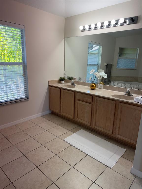 10760 Plantation Bay Drive Tampa, FL 33647 - Photo 21 of 39 a spacious bathroom with a sink and a mirror
