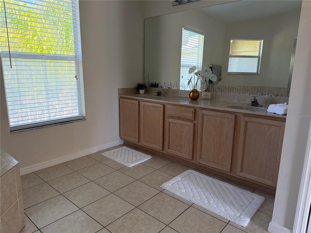10760 Plantation Bay Drive Tampa, FL 33647 - Photo 22 of 39 a spacious bathroom with a mirror a sink and a window