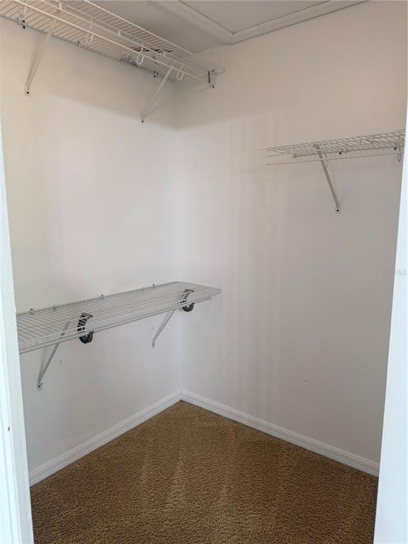 10760 Plantation Bay Drive Tampa, FL 33647 - Photo 26 of 39 a view of a room with racks on the wall