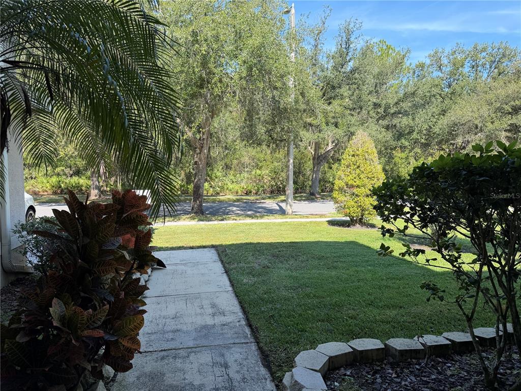 10760 Plantation Bay Drive Tampa, FL 33647 - Photo 4 of 39 a view of yard with swimming pool and green space