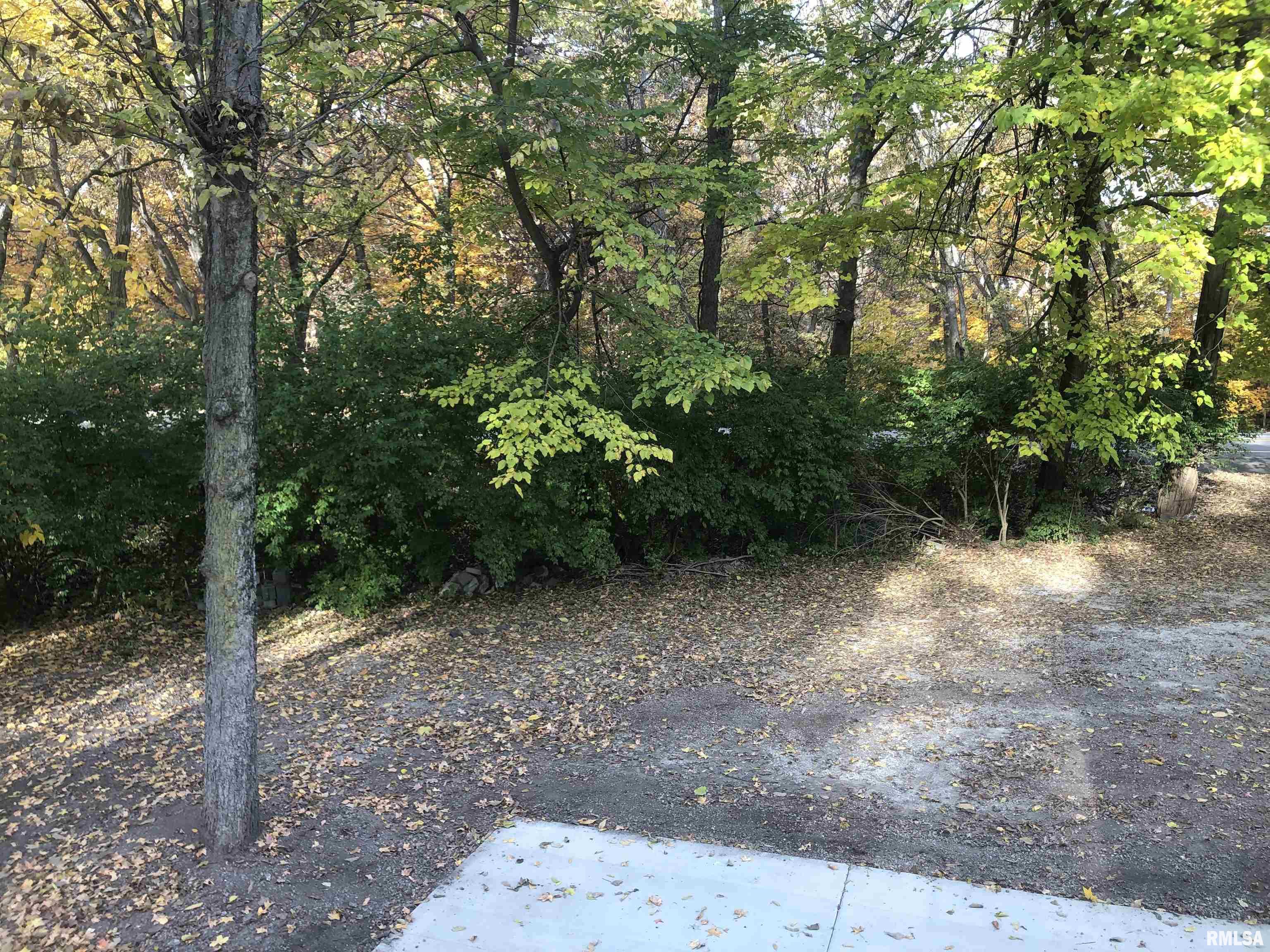 2318 East Lake Shore Drive Springfield, IL 62712 - Photo 14 of 20