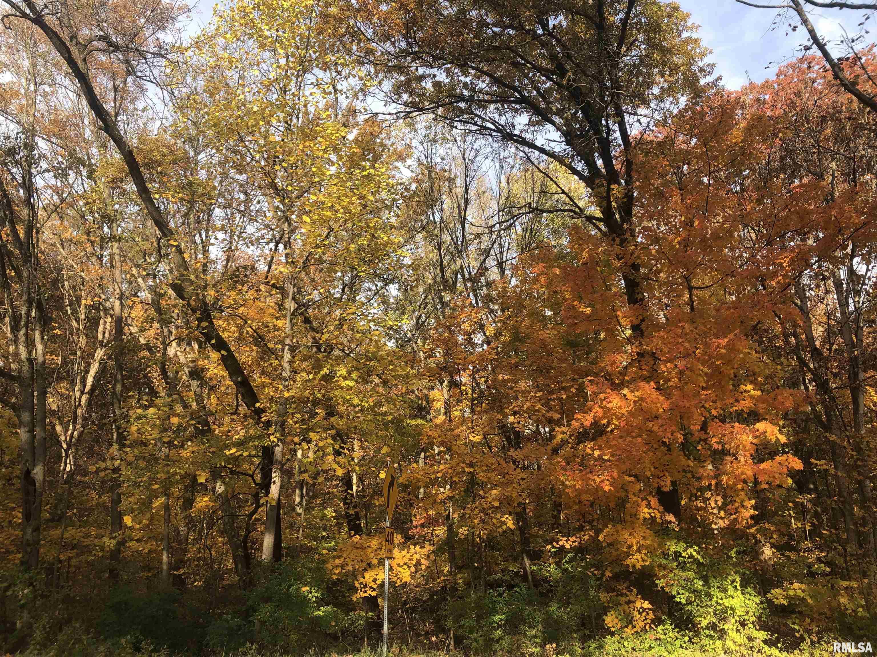 2318 East Lake Shore Drive Springfield, IL 62712 - Photo 17 of 20